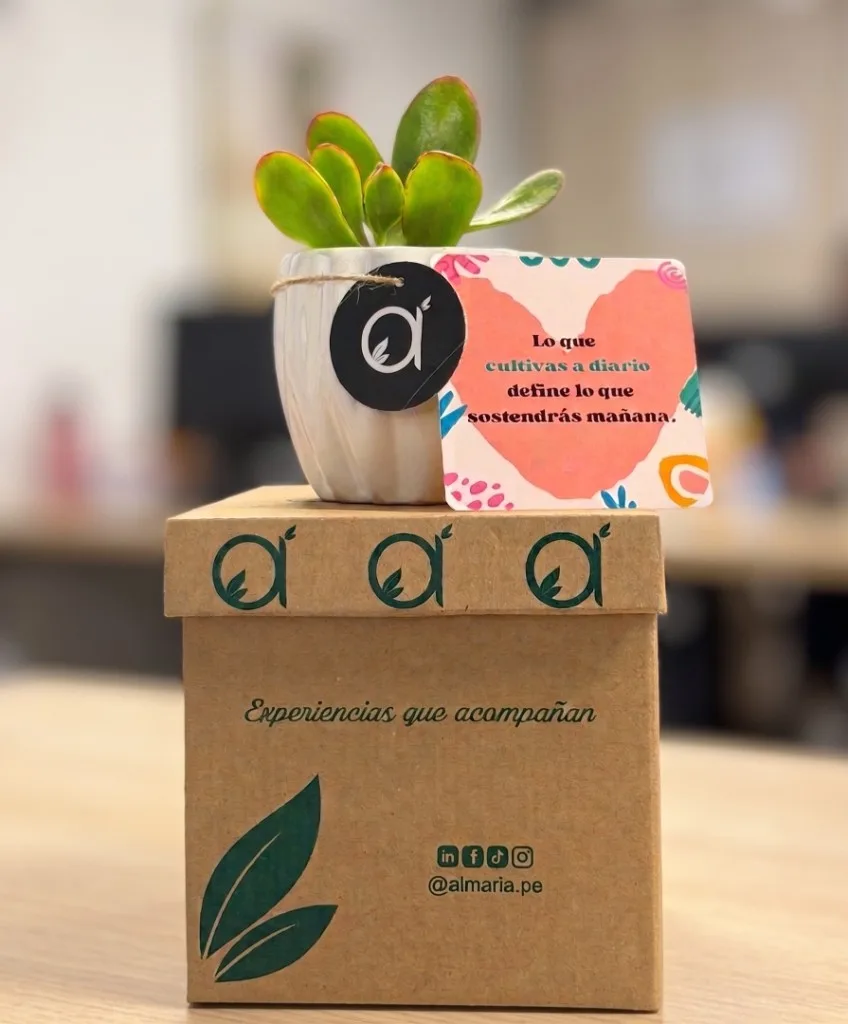 Card reflexiva escrita a mano junto a una suculenta y esencia aromática