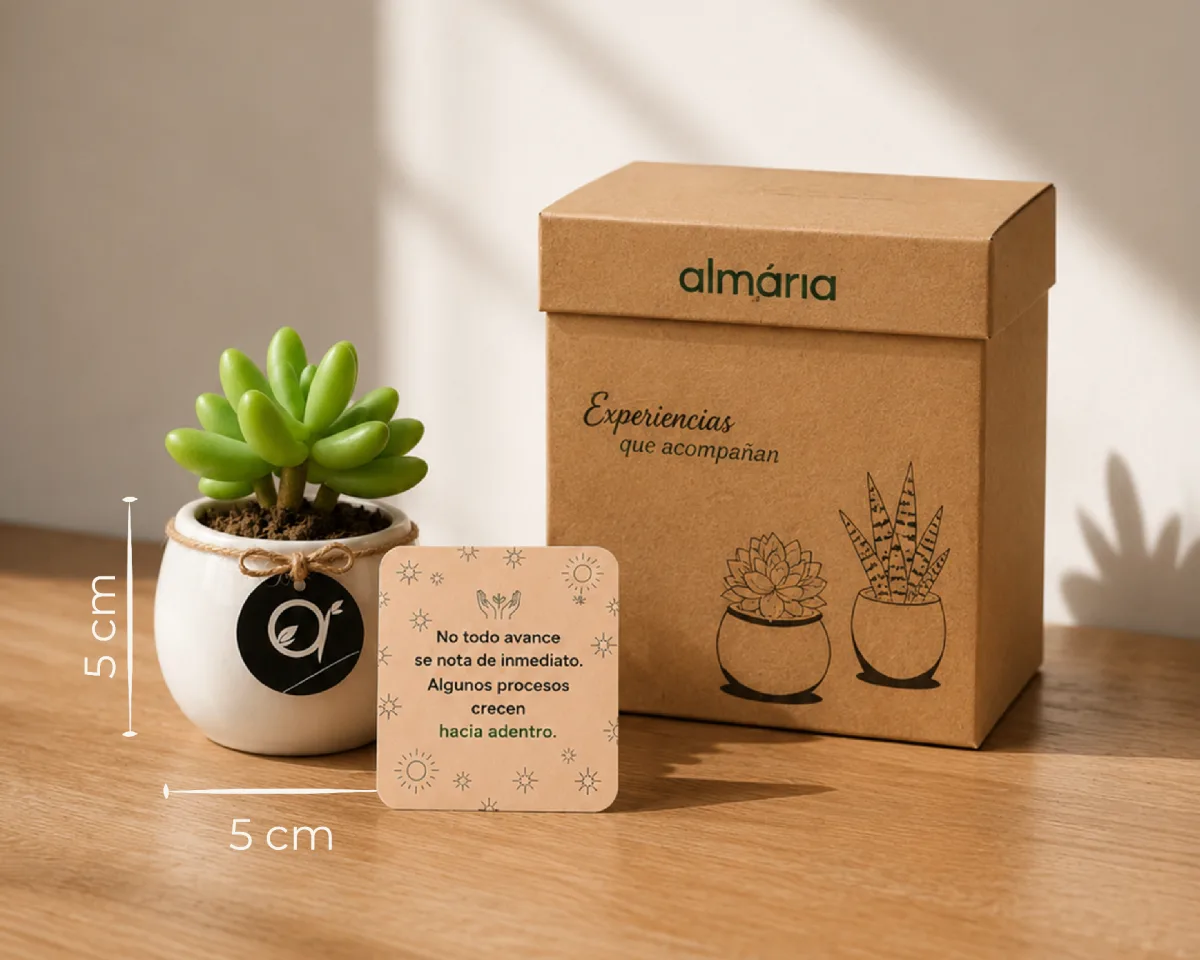 Experiencia Almaria para regalar — aromaterapia