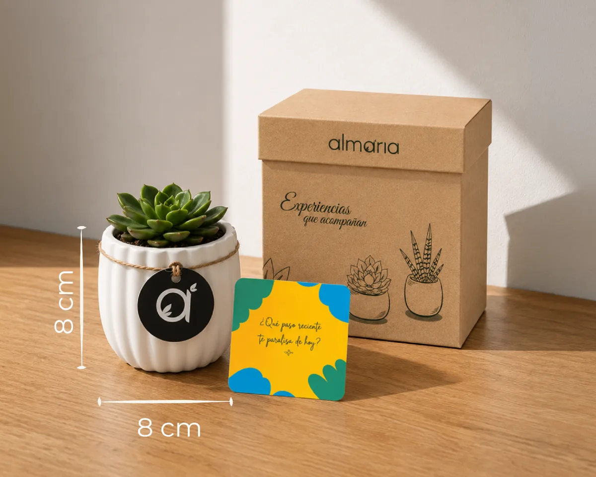 Experiencia Almaria para regalar — kit completo