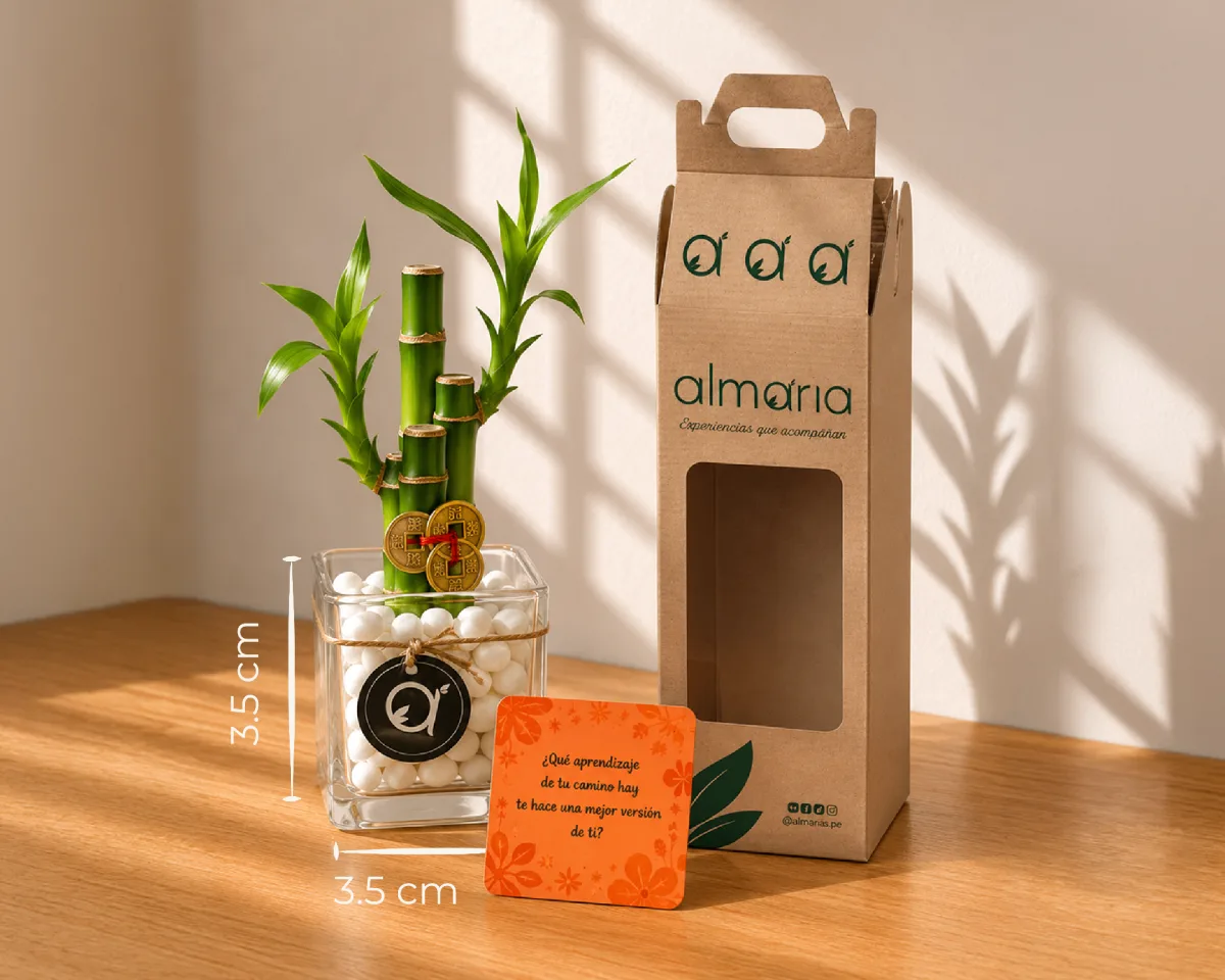 Experiencia Almaria para regalar — detalle del box